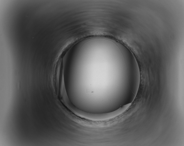 X0000094940015200712061240