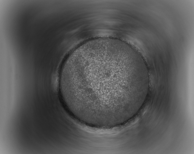 X0000094940016200712061240