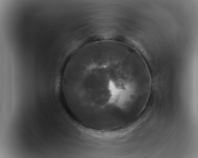 X0000094940018200712061240