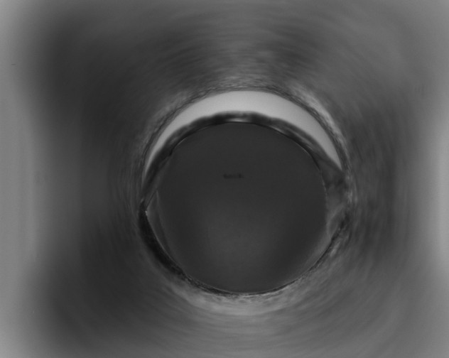 X0000094940019200712061240