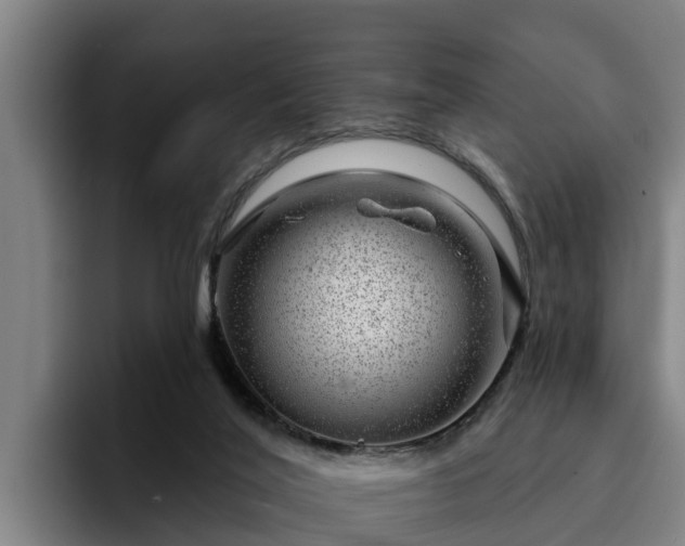 X0000094940020200712061240