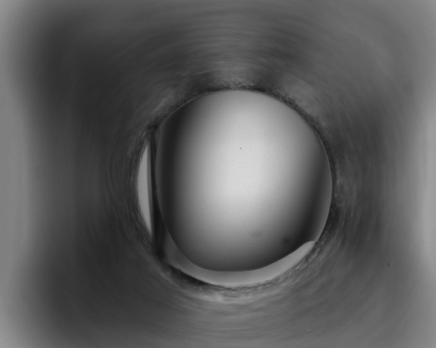 X0000094940021200712061240