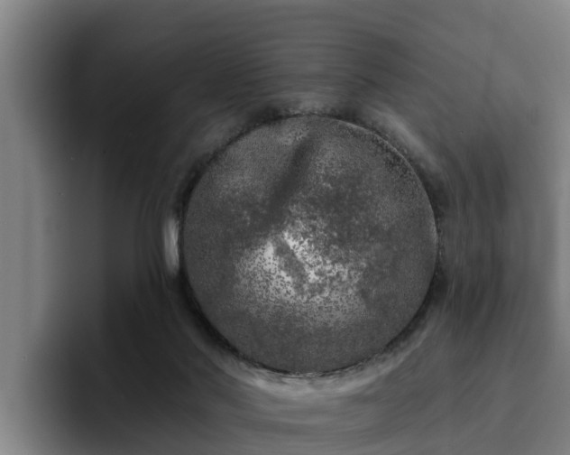 X0000094940022200712061240