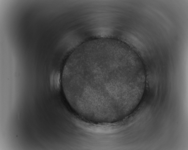 X0000094940024200712061240