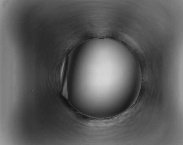 X0000094940025200712061240