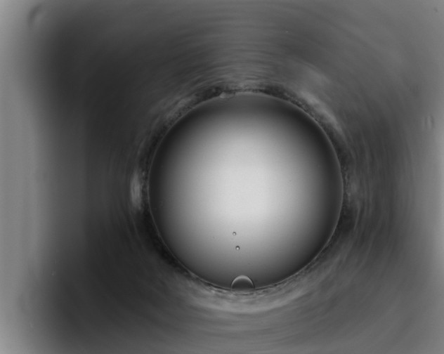 X0000094940026200712061240