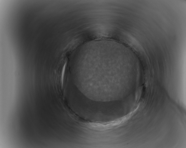 X0000094940029200712061240