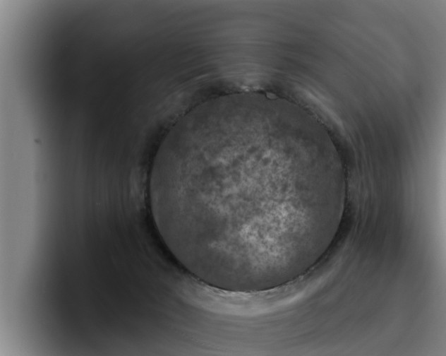 X0000094940030200712061240