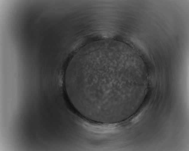 X0000094940032200712061240