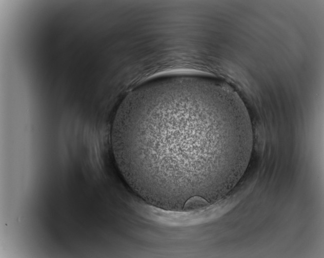 X0000094940034200712061240