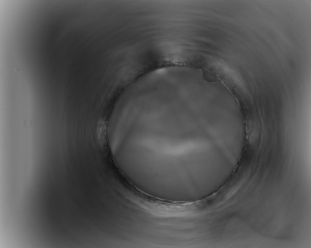 X0000094940036200712061240