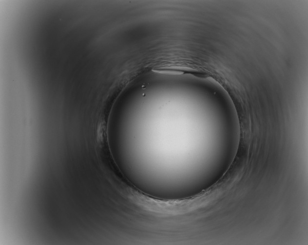 X0000094940038200712061240