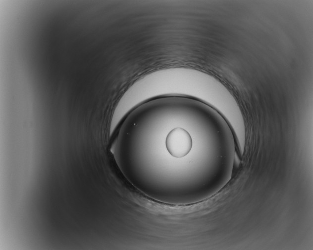 X0000094940039200712061240