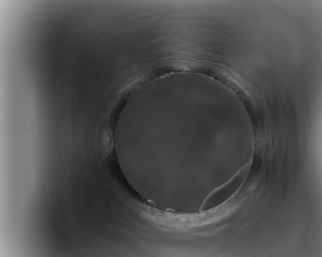 X0000094940043200712061240