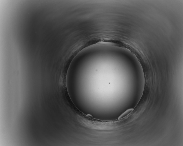 X0000094940044200712061240