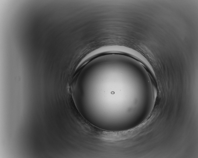 X0000094940045200712061240