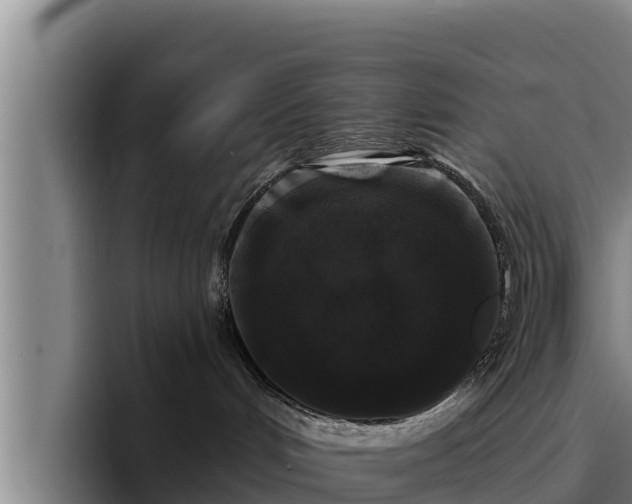 X0000094940048200712061240