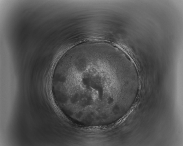 X0000094940049200712061239