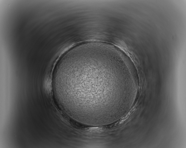 X0000094940050200712061239