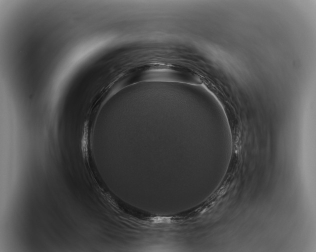 X0000094940052200712061239