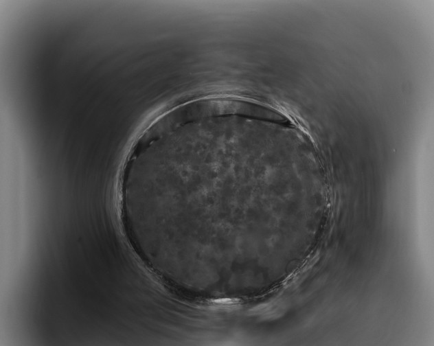 X0000094940053200712061239