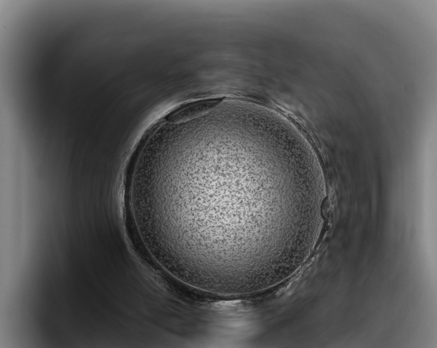 X0000094940054200712061239