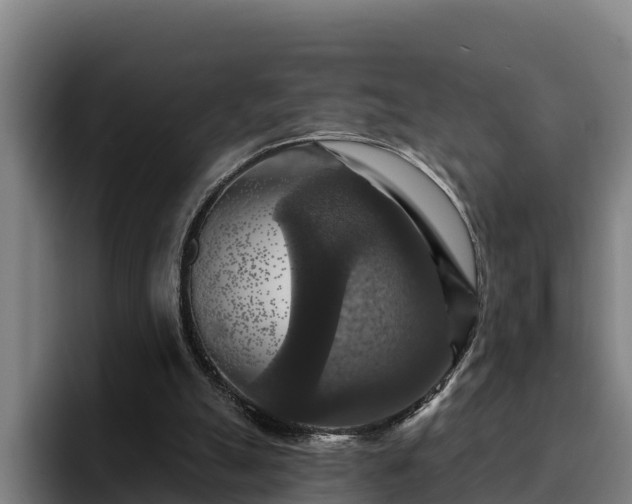 X0000094940055200712061239