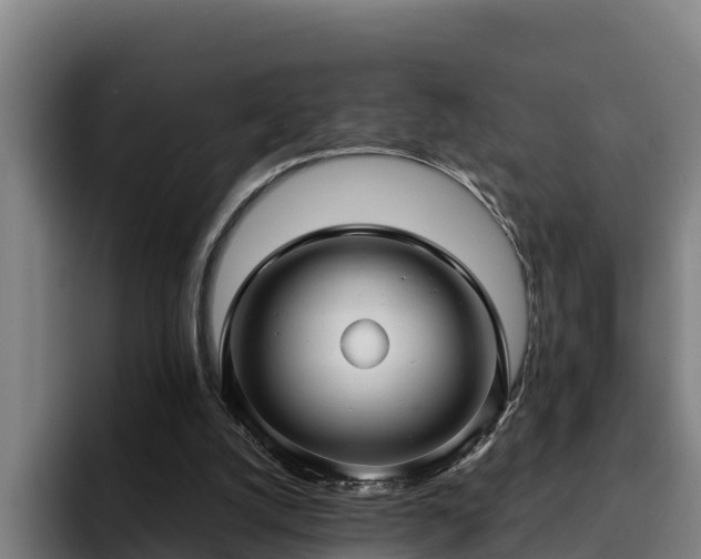 X0000094940056200712061239