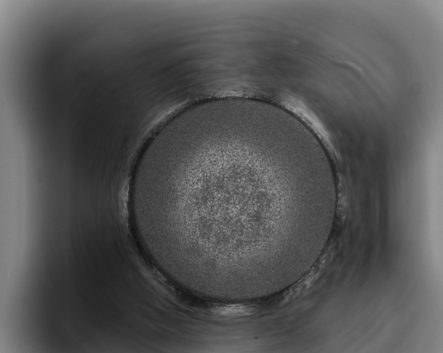 X0000094940058200712061239