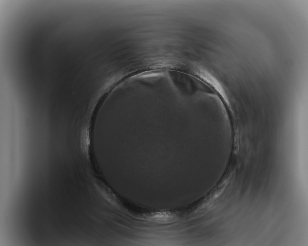 X0000094940059200712061239