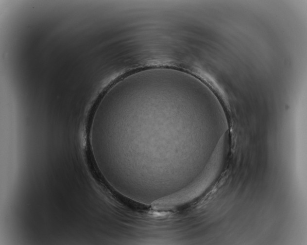 X0000094940060200712061239