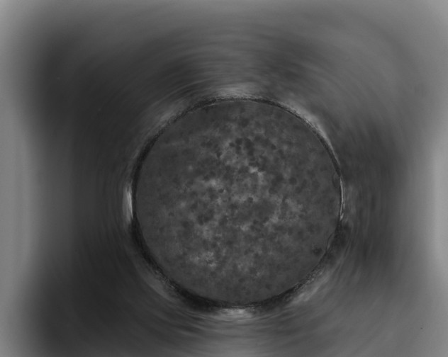 X0000094940061200712061239