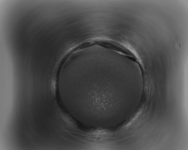 X0000094940063200712061239