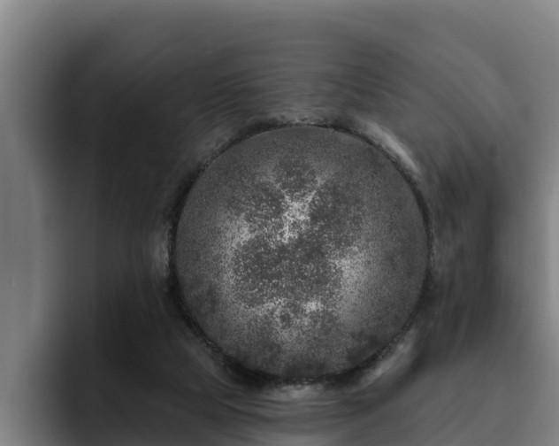 X0000094940065200712061239