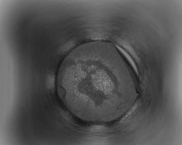 X0000094940066200712061239