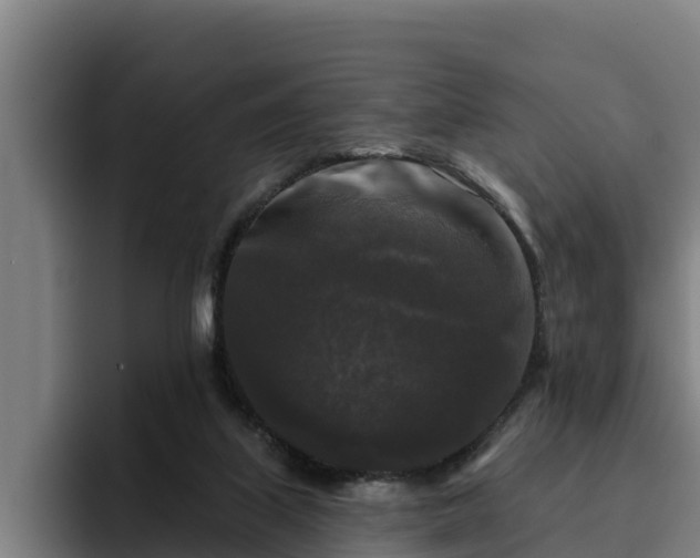 X0000094940067200712061239