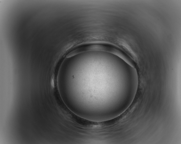 X0000094940068200712061239