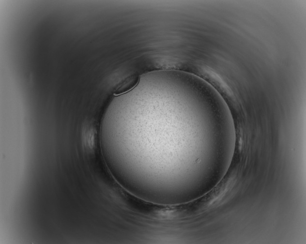 X0000094940071200712061239