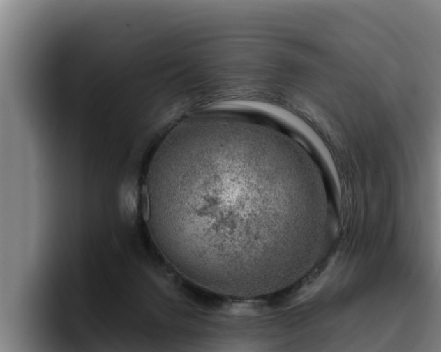 X0000094940072200712061239