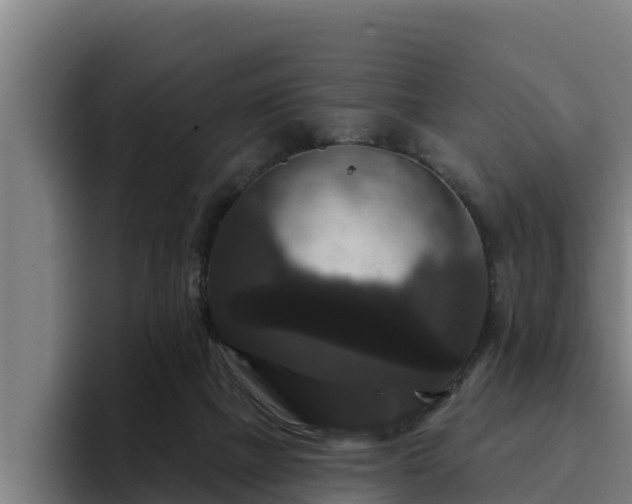 X0000094940073200712061239