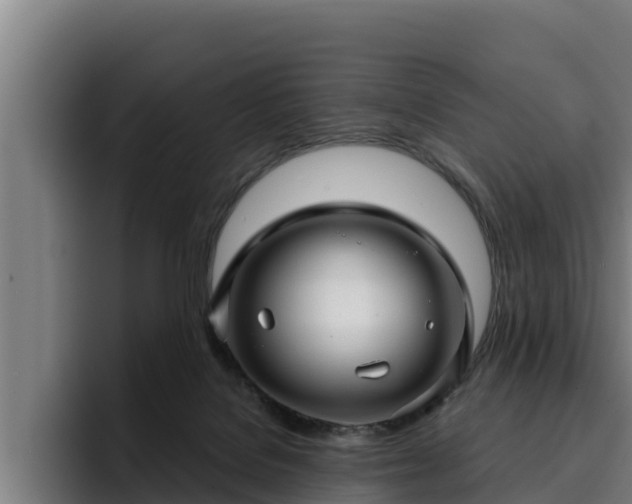 X0000094940076200712061239