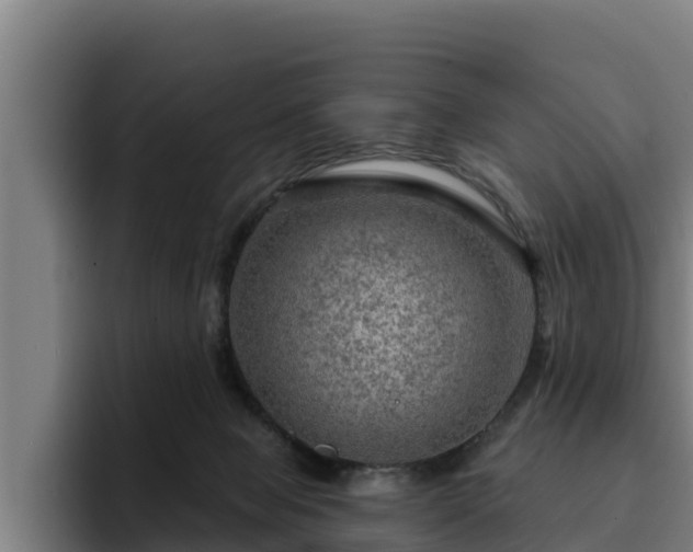 X0000094940077200712061239