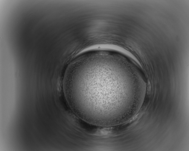 X0000094940078200712061239