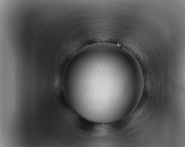 X0000094940079200712061240