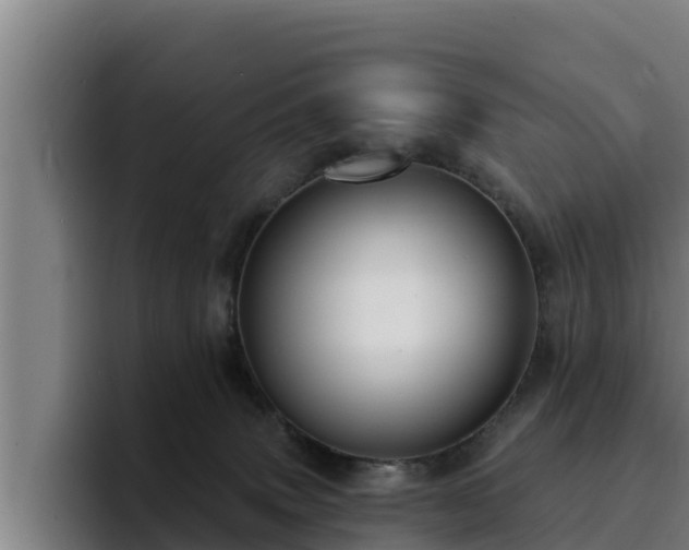 X0000094940083200712061240