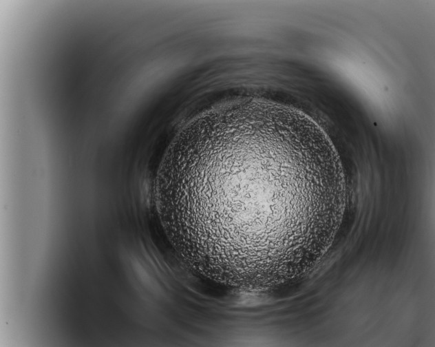 X0000094940093200712061240