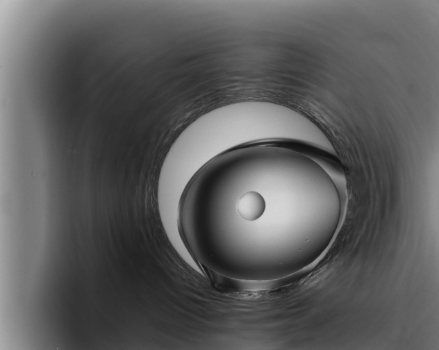 X0000094940096200712061240