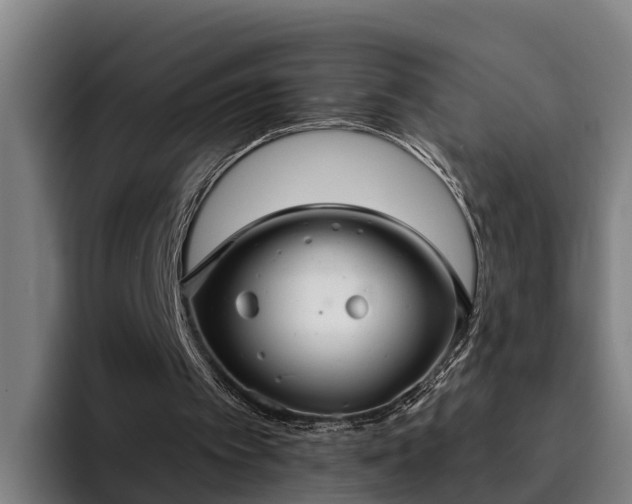 X0000094940097200712061239