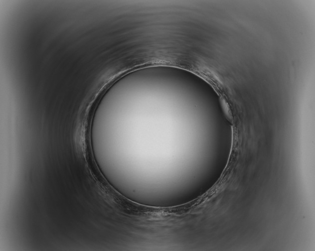 X0000094940098200712061239