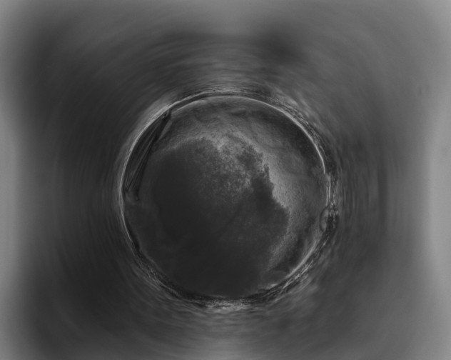 X0000094940099200712061239